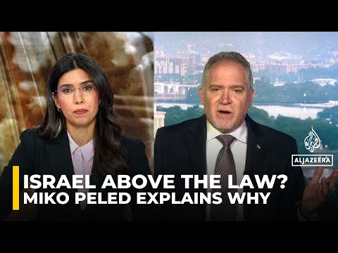 Ending Palestinian suffering requires dismantling the apartheid system: Miko Peled