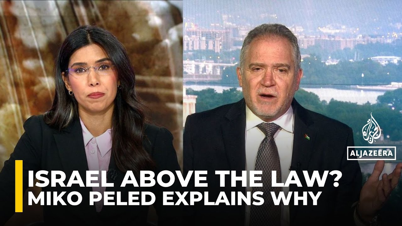 Ending Palestinian suffering requires dismantling the apartheid system: Miko Peled