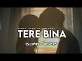 Tere Bina Slowed Reverb 1921 Arijit Singh Suman Morning Textaudio Lyrics