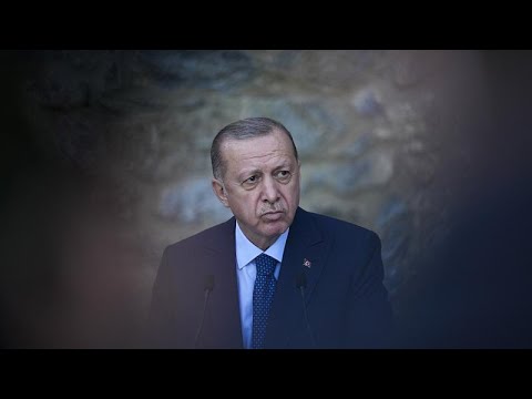 Turchia, crisi diplomatica: fuori da Ankara 7 ambasciatori Ue