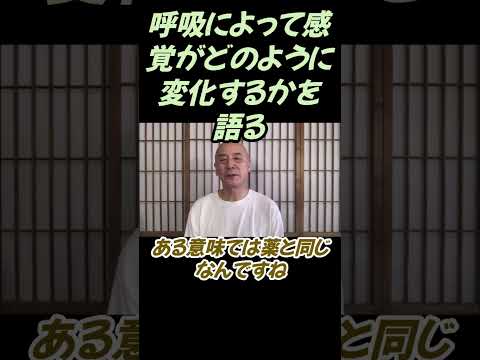 仏教学科 呼吸によって感覚がどのように変化するかを語る#切り抜き＃ヨガ＃健康#仏教＃瞑想＃マインドフルネス