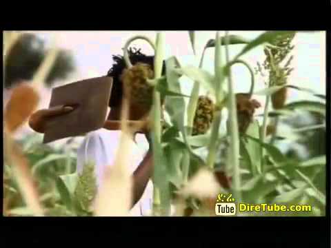 Angell feat Asne Abate   New Video Clip! DireTube Video by Tirhas Tareke