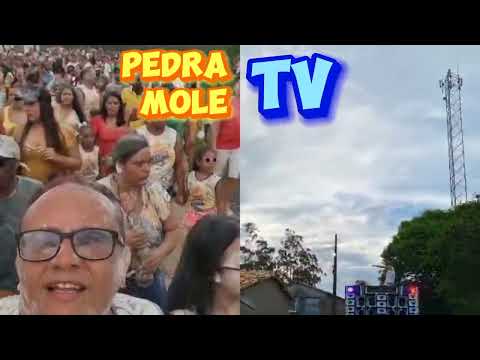 Bloco Mela mela/Povoado Tapado/Pedra Mole-Se #carnaval #youtubeshorts #folia
