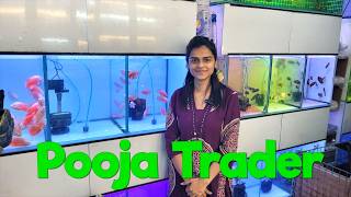 Aquarium Fish Stock at Pooja Trader
