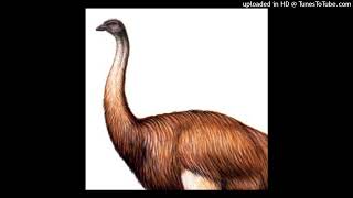 Cover art for IM DA BIGGEST BIRD