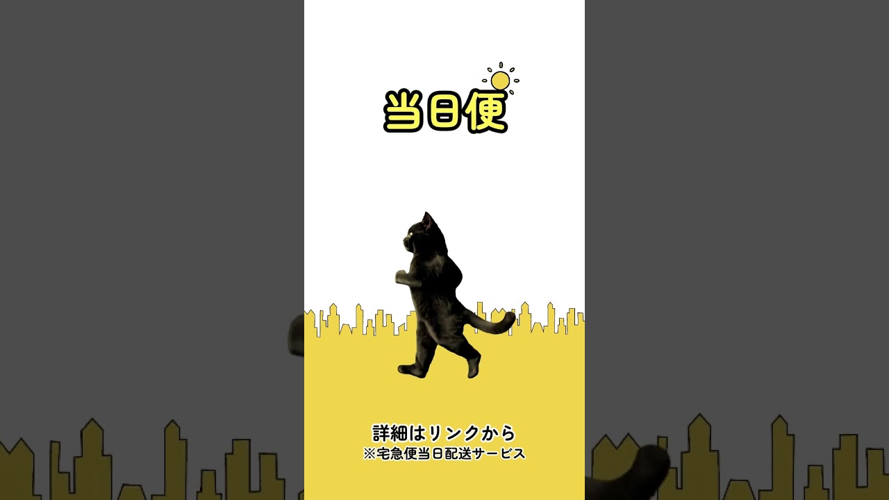 「あっ、今日中に届けたい！」 #クロネコヤマト #猫好きさんと繋がりたい #運転技術