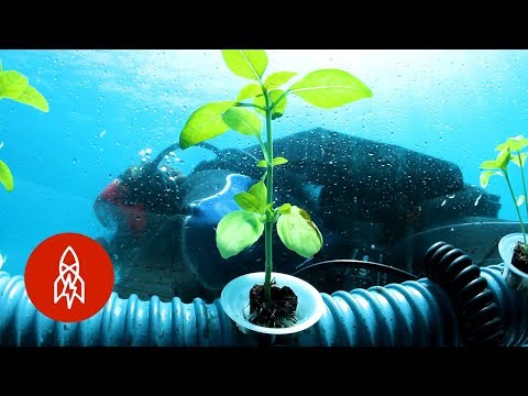 農業的未來在水底 (The Future of Farming Is Underwater)