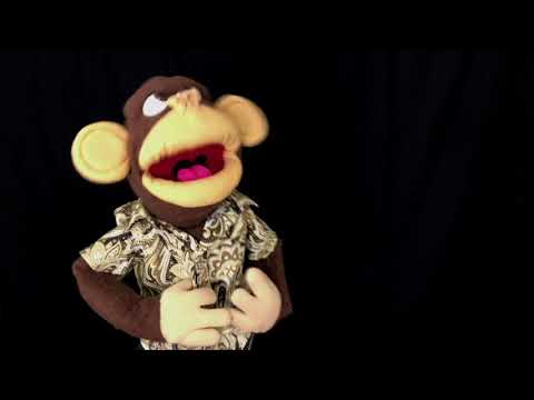 Felt & Fur: Ironic Racists!