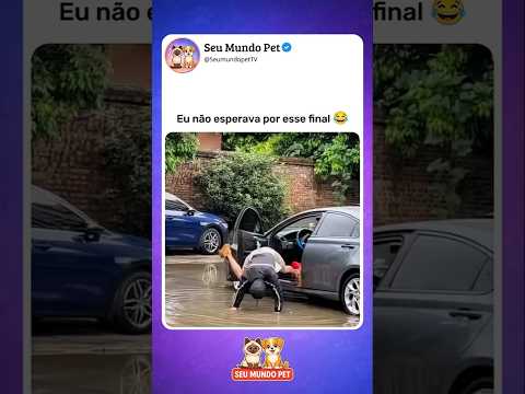 O Plot Twist 😂 #memes  #animais #brasileiro #shortsvideos #cachorros #gatos #humorbrasileiro #rir