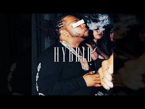 Dave East x Don Q x Meek Mill Type Beat 2022 "Hybrid" [NEW]