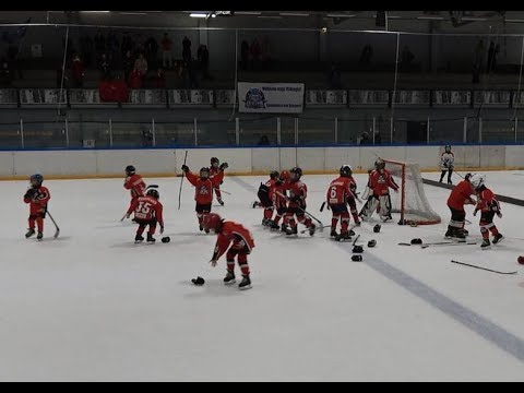 Vipers vs Viking - bullits