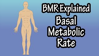 What Is BMR (Basal Metabolic Rate)? - Formula For And How To Calculate BMR - BMR vs RMR Explained