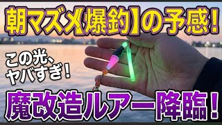 4時起き 朝活 精神科医オススメ 釣り 散歩 ルアー釣り テクトロ うつ病快復には 釣り なんじゃない?説を検証再スタート #82 0714