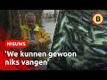 Ansjovis is aan het UITSTERVEN | Omroep Brabant