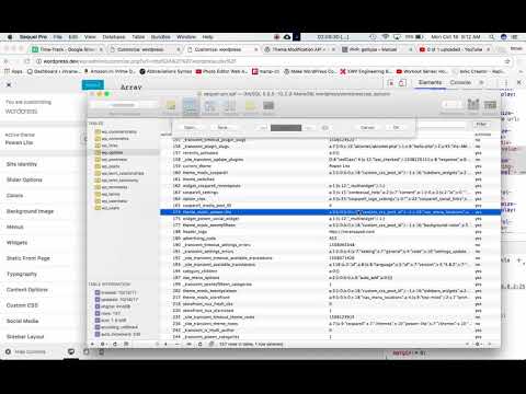 Theme Modification API Wordpress set theme mod Part 2
