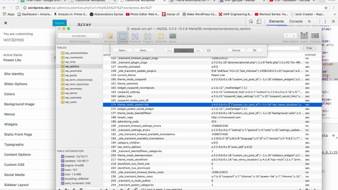 Theme Modification API Wordpress   set theme mod Part 2