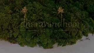 Maldives Guest House Dharavandhoo Stay