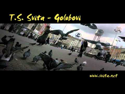 Svita - Golubovi