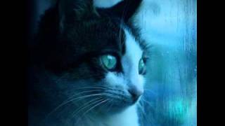 Rain At Ghost Dance Canyon Trail: Dixon Springs- Zola Van