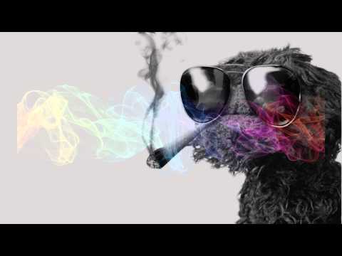 aR ft. Dalle - Rollin (2013)