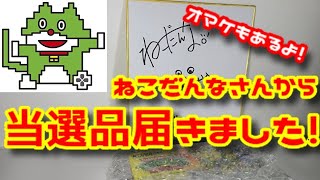 【当選品】YouTuberのねこだんなさんからスーファミカセット頂きました！初めての駿河屋開封もあるよ！