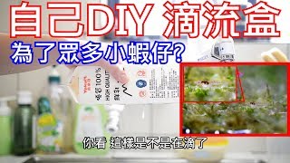 DIY 自製滴流盒 | 廢話有點多 | 牛奶盒當滴流盒 | 避免小缸溫度震盪
