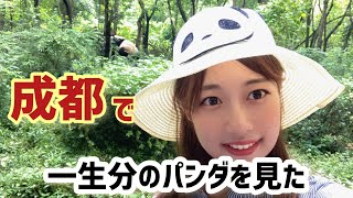 【四川成都】パンダ繁殖研究基地/パンダってこんなに活発!?