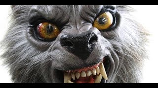 Werewolves of London - Warren Zevon - w/lyrics - Aaooooooo!