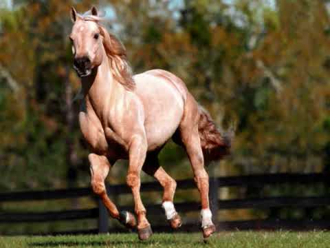 Mihaela Radu - Mi-e dor Isuse