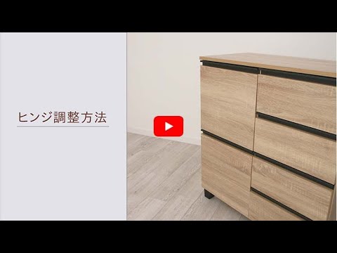 アクチノバチルス・アクチノマイセテムコミタンスについて詳しく解説