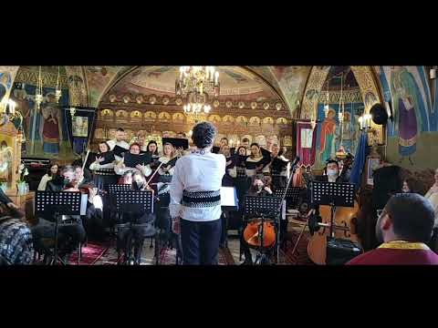 Vine hulpe di la munte-A.POP(Sosit-a ziua cea sfântă-5 dec 2021)