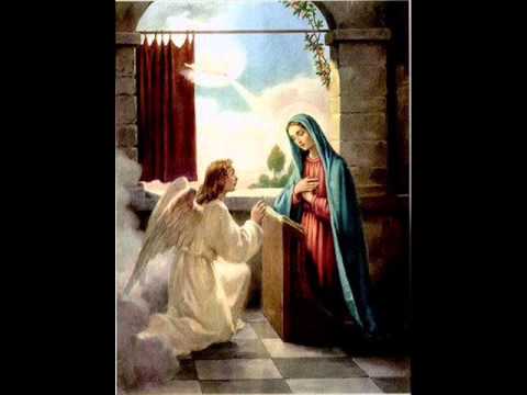 Escolhida video