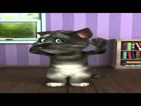 download android talking tom cat 2 download android talking tom cat 2