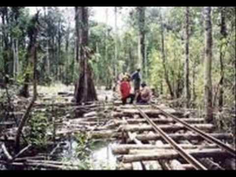 Tindalanonku -My Journey-