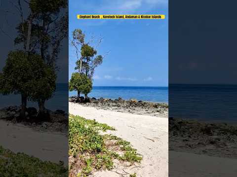 Elephant beach Havelock Island || Andaman & Nicobar Islands || beach trek #andaman #shorts