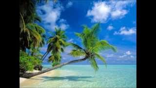 86 Degrees, Music by Raytom, Album: Ending Tyranny