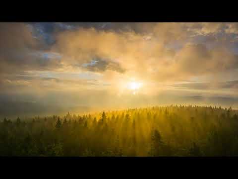 NATURPARK STEINWALD im Sturm