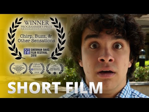 Chirp, Buzz, & Other Sensations | Award-Winning Comedy Short