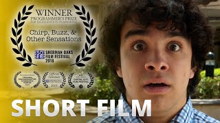 Chirp, Buzz, & Other Sensations | Award-Winning Comedy Short