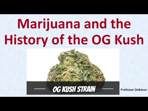 Marijuana and the History of the OG Kush