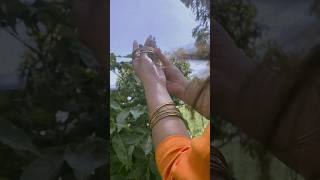 Download lagu Kuch Kuch Hota Hai 😍 -  Alka Yagnik and Jatin-Lalit #shorts #trending #instareels mp3