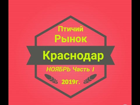 Птичий рынок Краснодар часть 1 (03.11.2019г.) Ярмарка