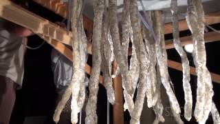 HARBINGER DOWN FEATURETTE - MICROSCOPE (2015) video