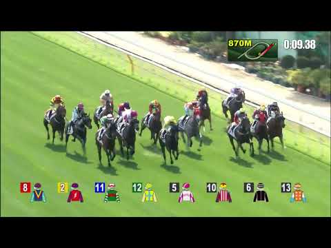 12/2/2022 (419) Glenealy Generals - H Bentley