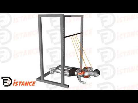 Pompes assistées avec élastique (homme) - Exercice Pompes assistées avec élastique (homme) en vidéo