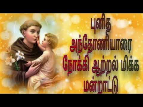 Anthoniyar mandrattu malai | Punitha anthoniyar mandrattu malai | st antony mandrattu malai | Paduva