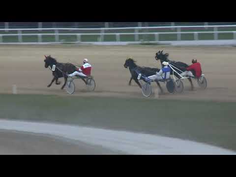 2018.12.01. 04. futam - NYERETLEN KÉTÉVESEK VERSENYE