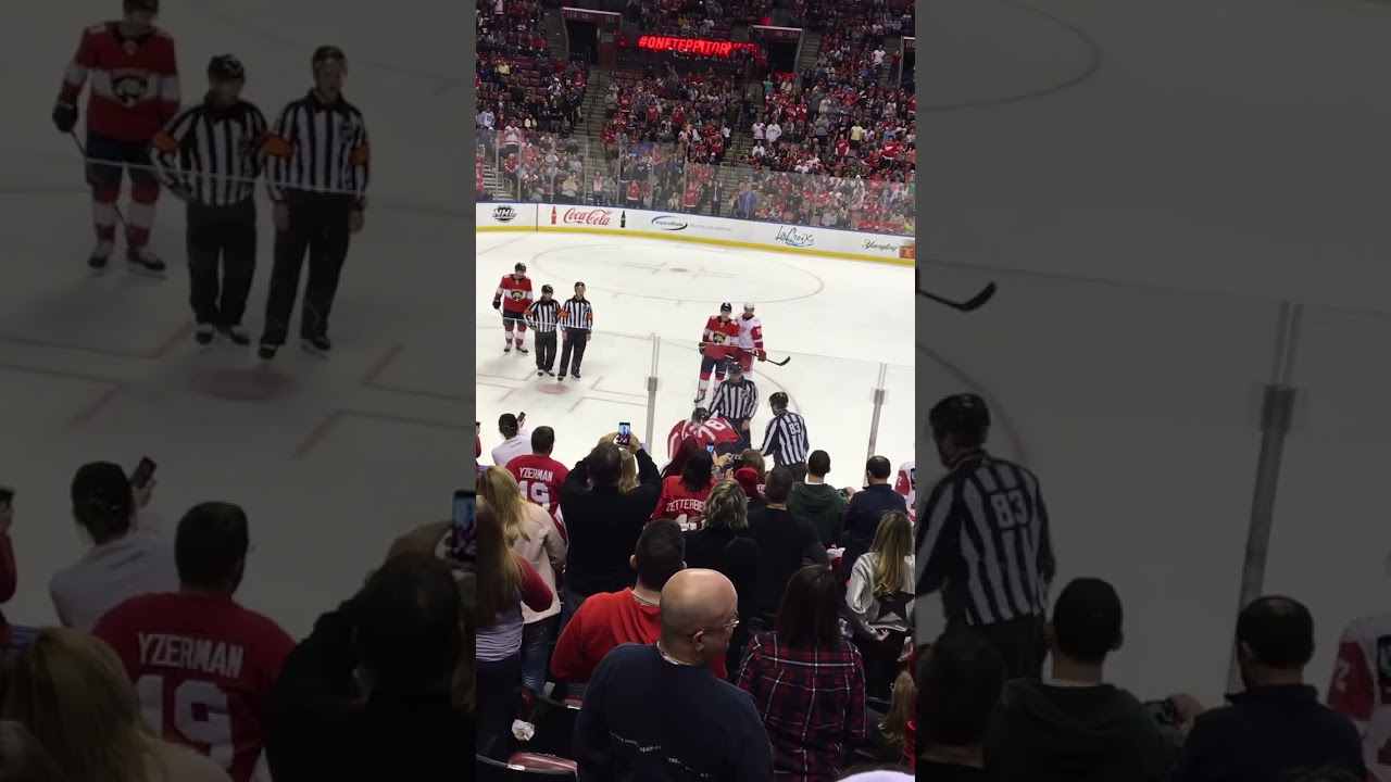 NHL Fight 💥Panthers vs Red Wings