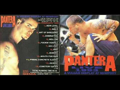 PANTERA - Cemetery Gates - Live 93'(RARE)