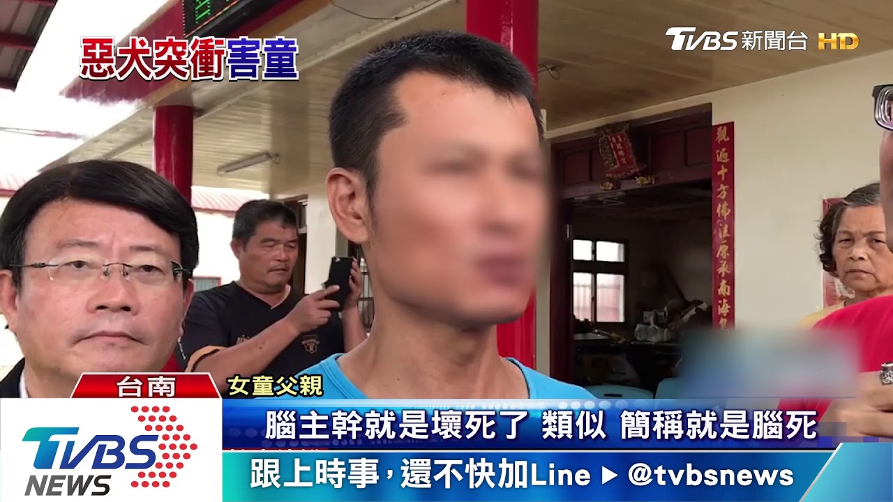 野狗突衝撞害父女摔車 小五女童恐氣切